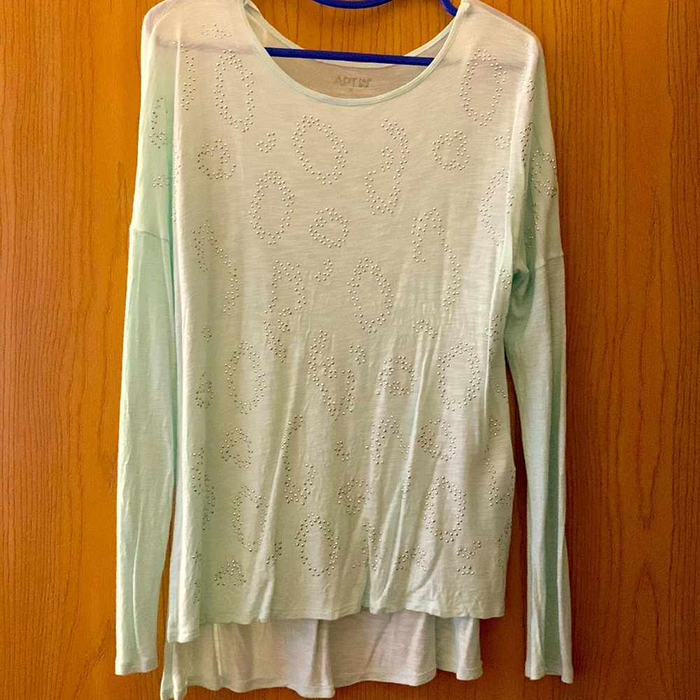 Turquise lightweight long sleeve top.